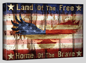 Land of the Free, Home of the Brave, Eagle Photo Canvas Print